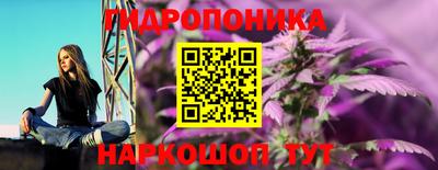 mdpv Севастополь