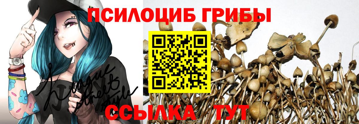 Галлюциногенные грибы Magic Shrooms Семилуки