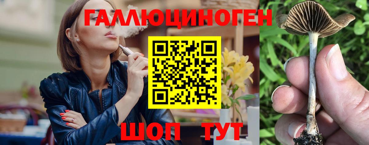 Галлюциногенные грибы MAGIC MUSHROOMS  магазин продажи   Семилуки  Вход с VPN 